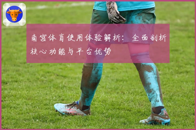 南宫体育使用体验解析：全面剖析核心功能与平台优势